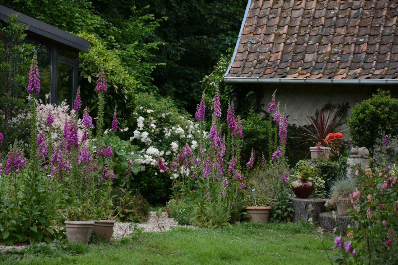 Bed and Breakfast Le Jardin Sauvage Maintenay Экстерьер фото